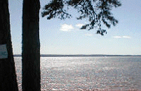 Lake Murray Ocean Like Views Available!